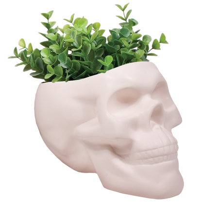 Bone Skull Planter
